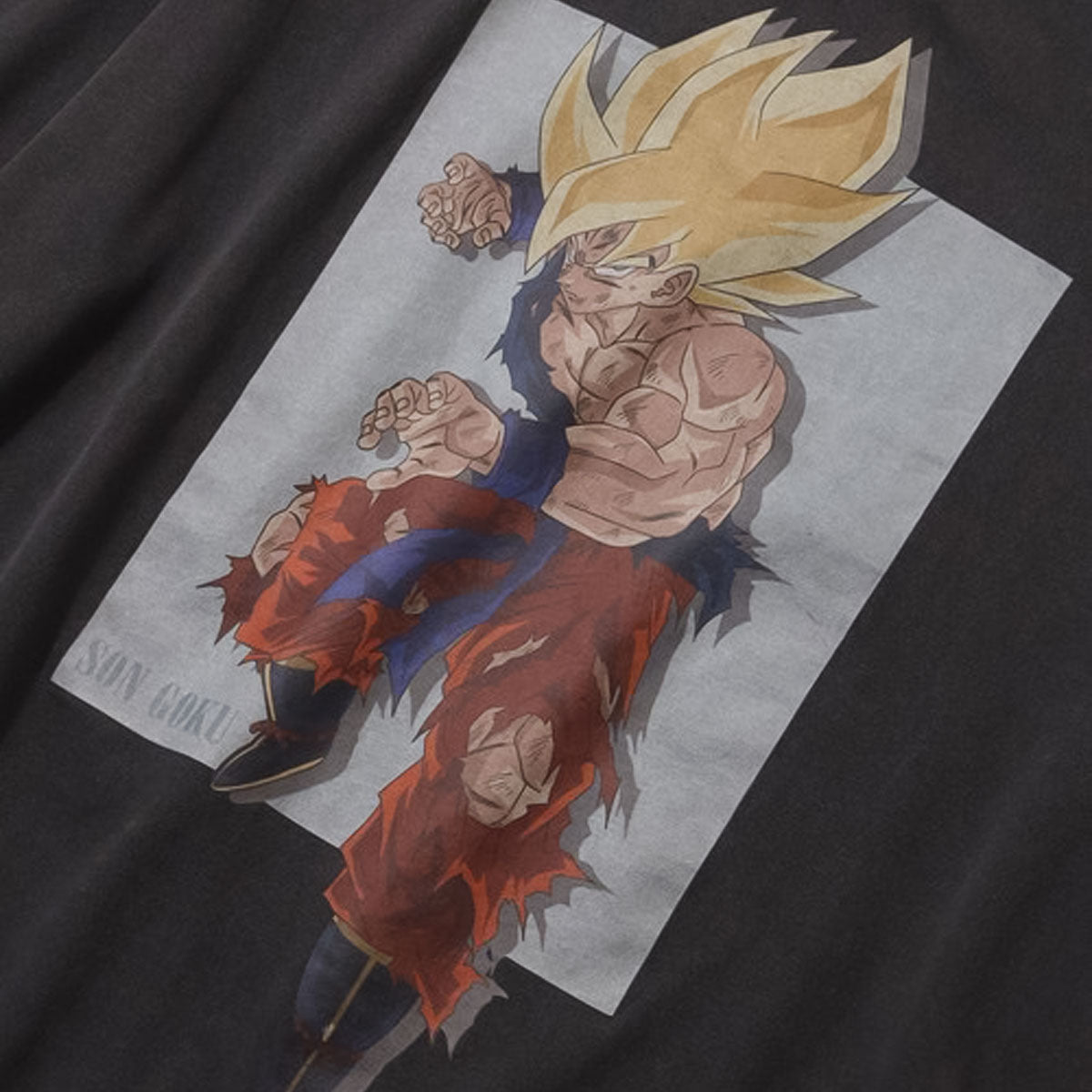 PIGMENT TEE 【DGB-ST02】