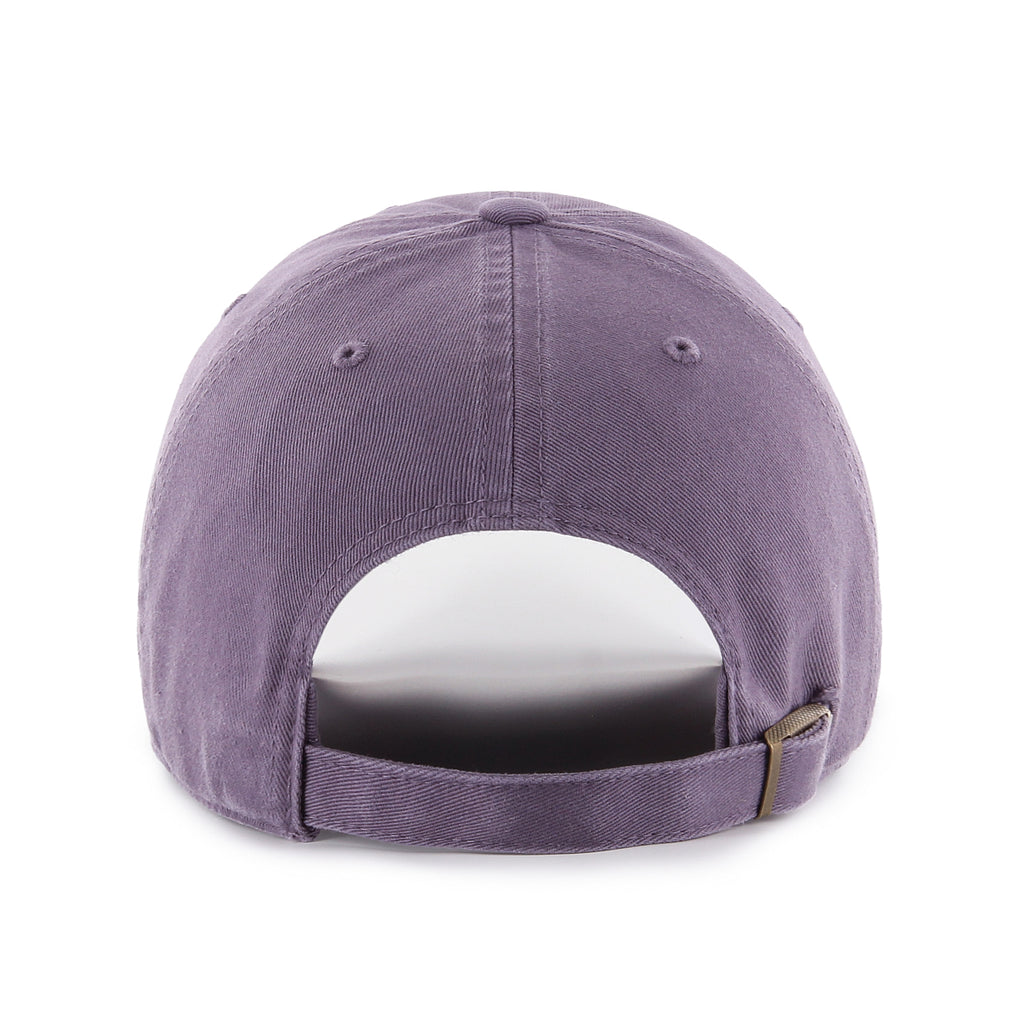 ’47 BRAND New York Yankees - '47 CLEAN UP Iris【RGW17GWSNL】