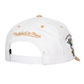 MITCHELL & NESS Anaheim Ducks - TAIL SWEEP PRO SNAPBACK VNTG【HHSS7285 】