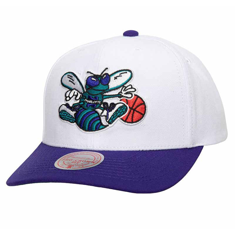 MITCHELL & NESS Charlotte Hornets - NBA TEAM 2 TONE 2.0 PRO SNAPBACK HWC【HHSS5131】