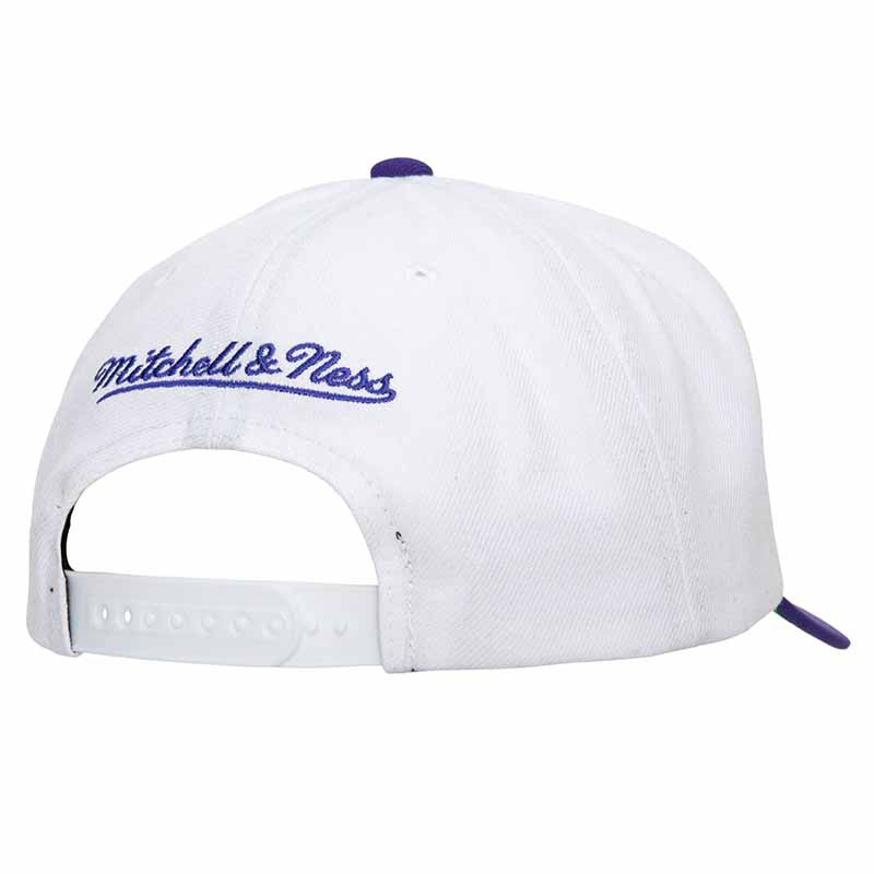 MITCHELL & NESS Charlotte Hornets - NBA TEAM 2 TONE 2.0 PRO SNAPBACK HWC【HHSS5131】