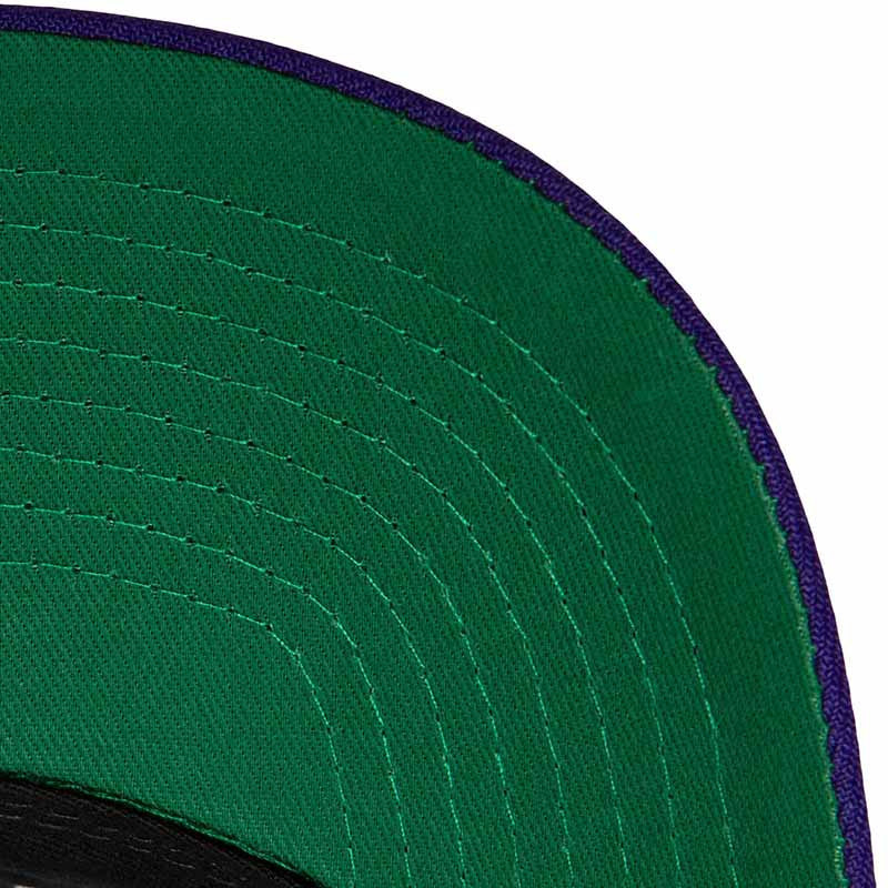 MITCHELL & NESS Charlotte Hornets - NBA TEAM 2 TONE 2.0 PRO SNAPBACK HWC【HHSS5131】