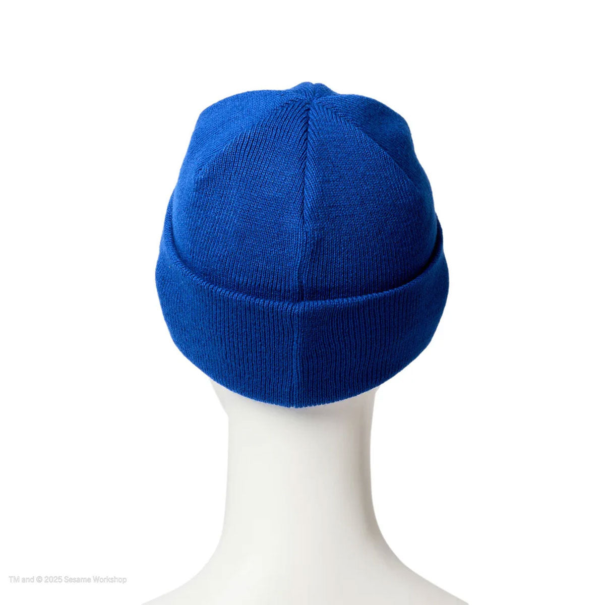 NEW ERA SESAME STREET - Cookie Monster KIDS BC KNIT FACE BLUE 【14682536】