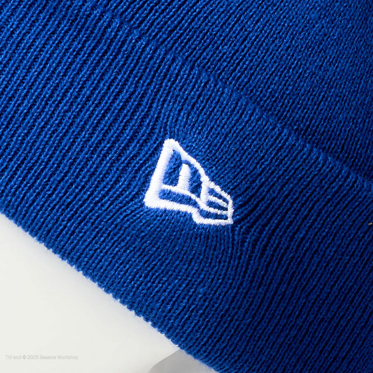 NEW ERA SESAME STREET - Cookie Monster KIDS BC KNIT FACE BLUE 【14682536】