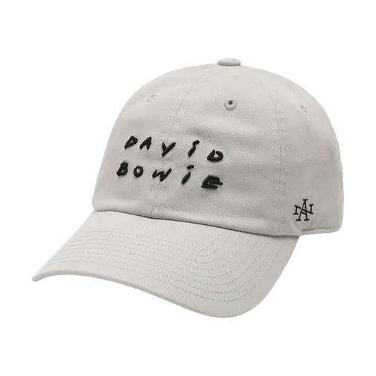 AMERICAN NEEDLE - BALLPARK DAVID BOWIE STONE 【SMU674BBOWI】