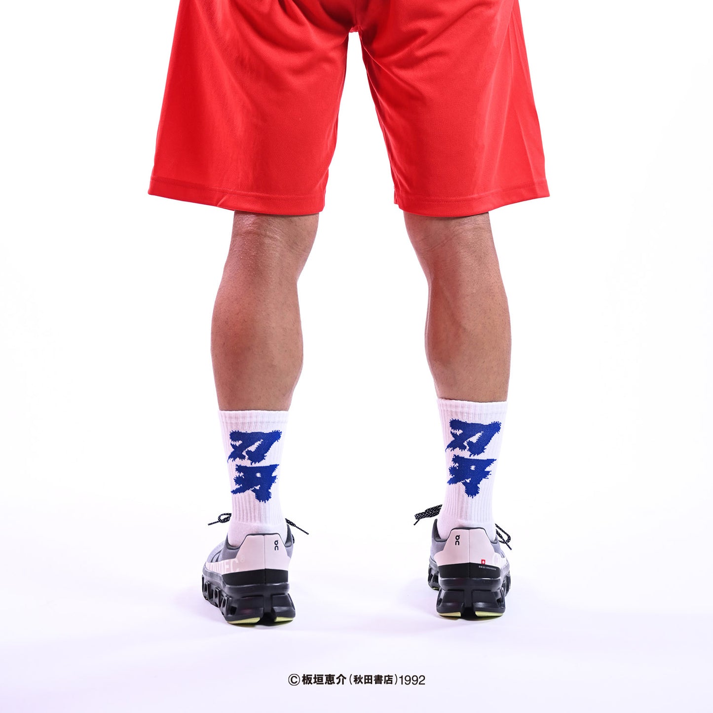LFYT × GRAPPLER BAKI SOCKS 【LE232101】