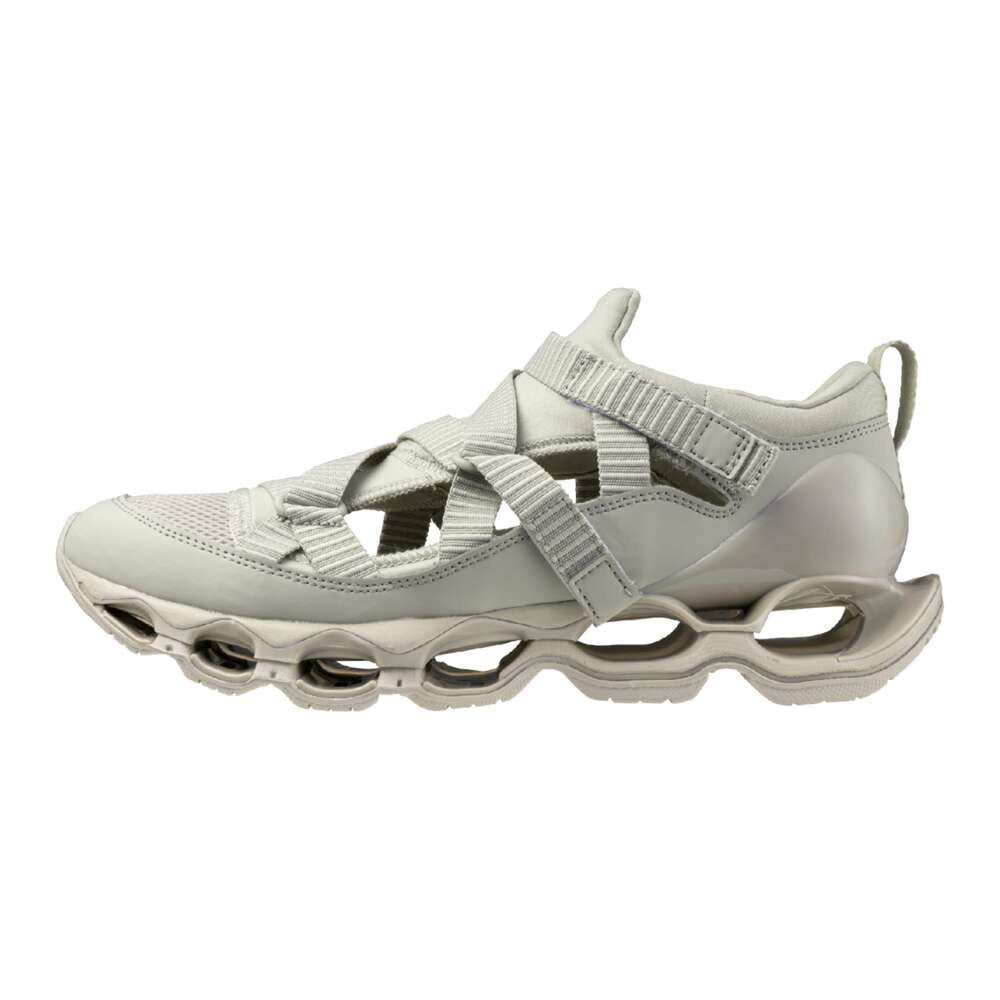 MIZUNO WAVE PROPHECY STRAP DARK BEIGE【D1GA2519-04】
