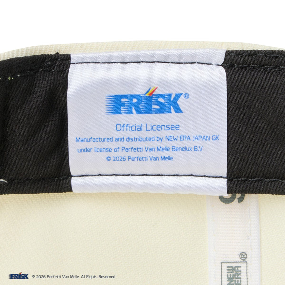 NEW ERA - RC 9FIFTY Flat Visor FRISK CHROME/ISLAND GREEN 【14863776】