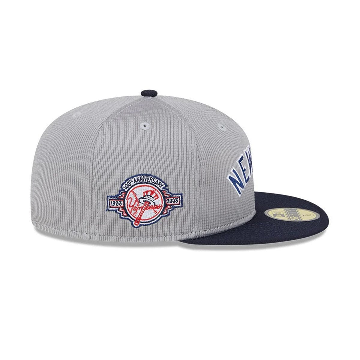 NEW ERA New York Yankees - 59FIFTY PVT MSH CRWN NEYYAN GRA JP【14191630】