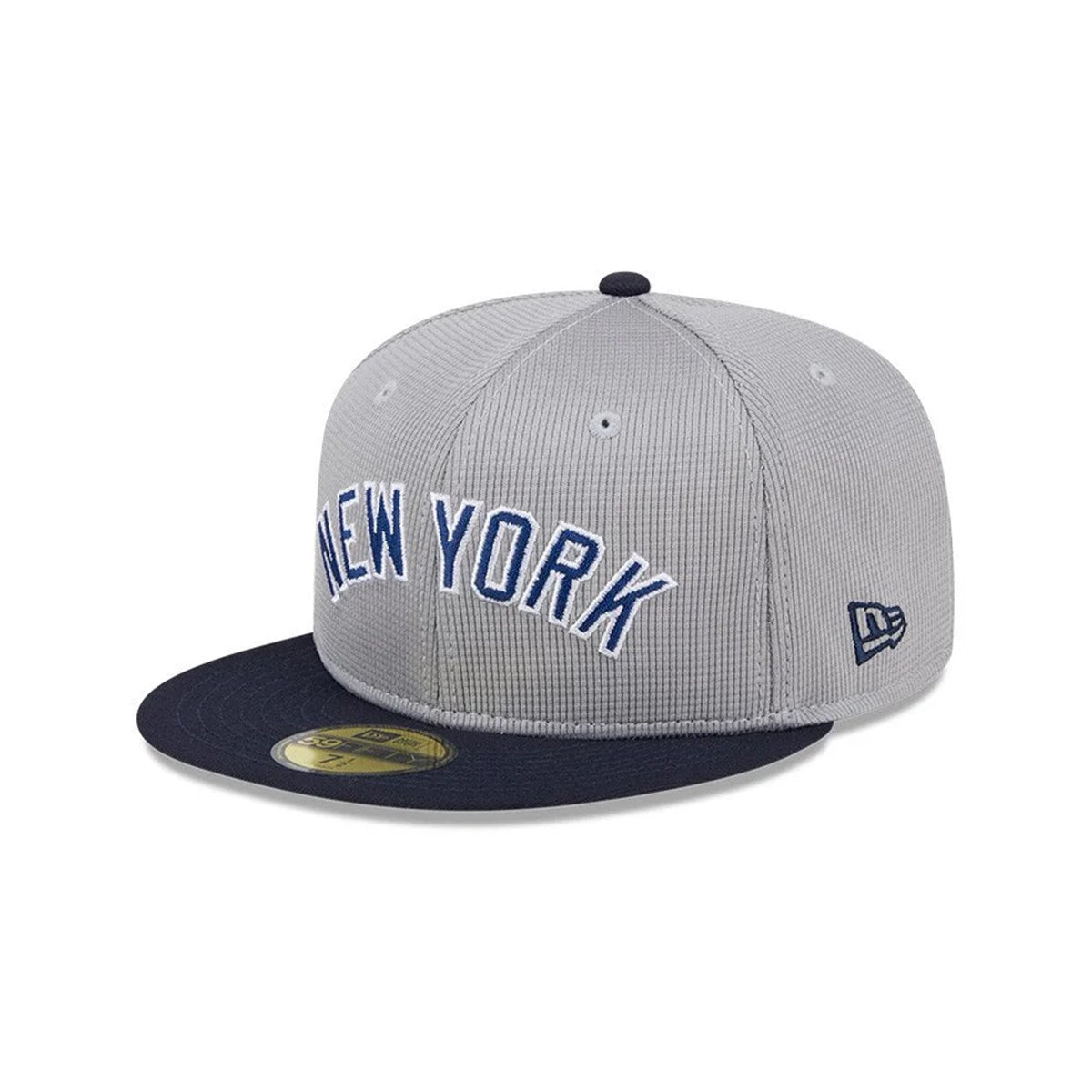 NEW ERA New York Yankees - 59FIFTY PVT MSH CRWN NEYYAN GRA JP【14191630】