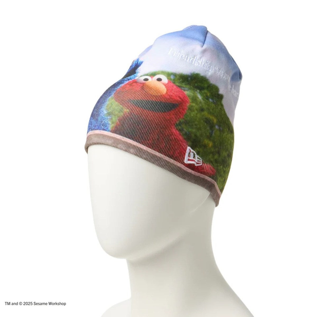 NEW ERA SESAME STREET - BASIC BEANIE SESAME PRINT 【14682559】