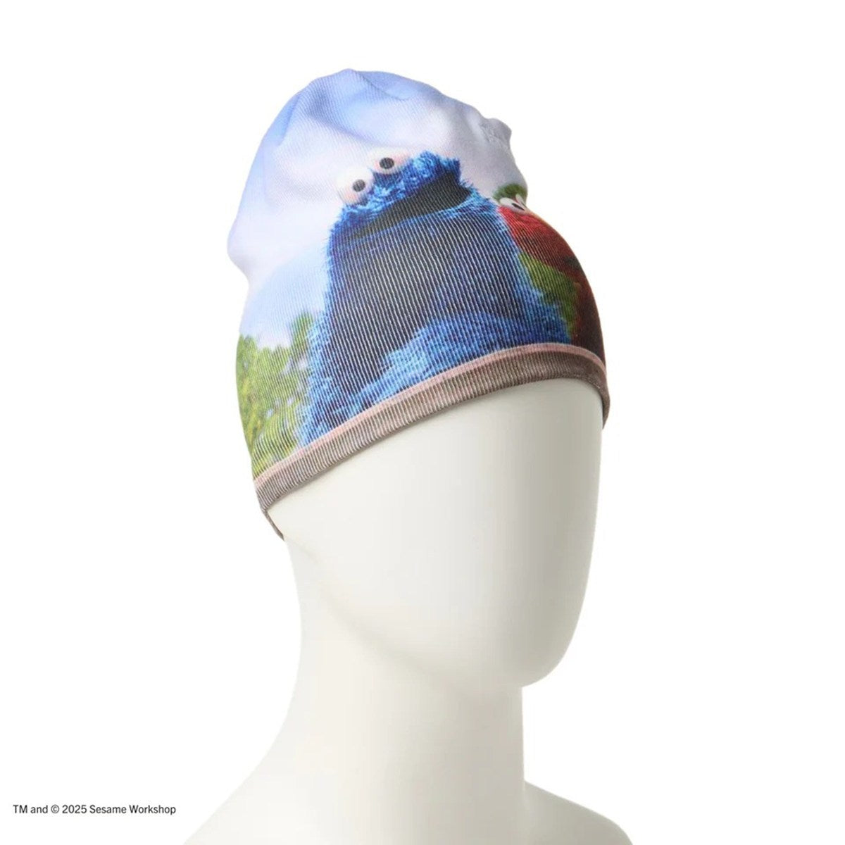 NEW ERA SESAME STREET - BASIC BEANIE SESAME PRINT 【14682559】