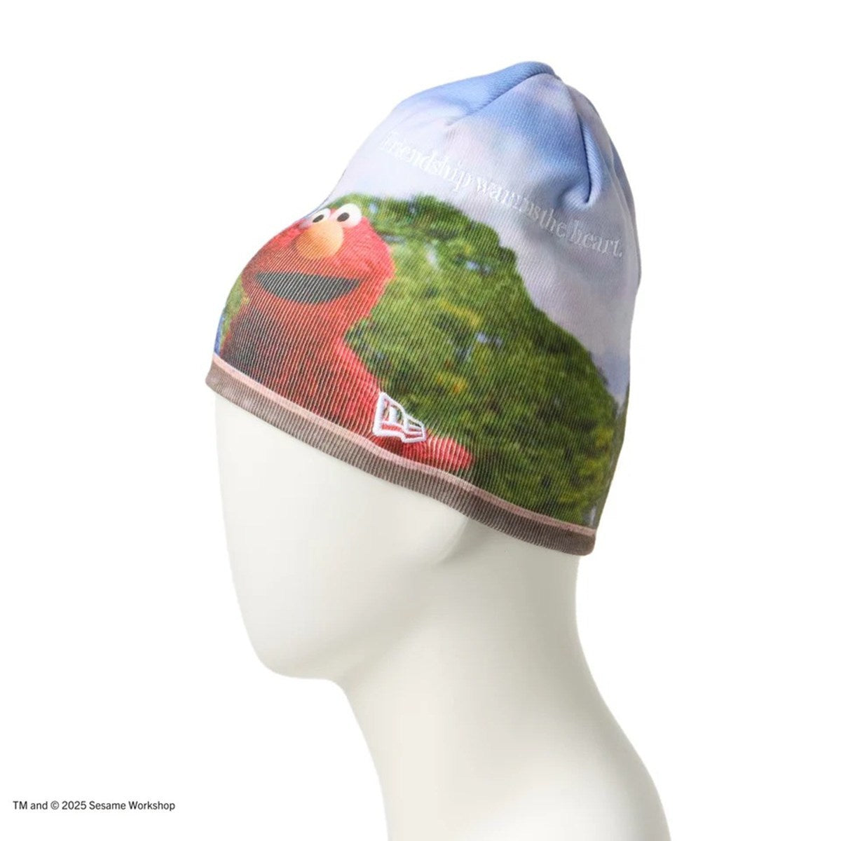 NEW ERA SESAME STREET - BASIC BEANIE SESAME PRINT 【14682559】