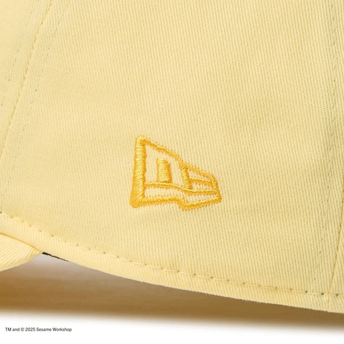 NEW ERA SESAME STREET - 9TWENTY Good Birds’ Club Big Bird YELLOW 【14682617】
