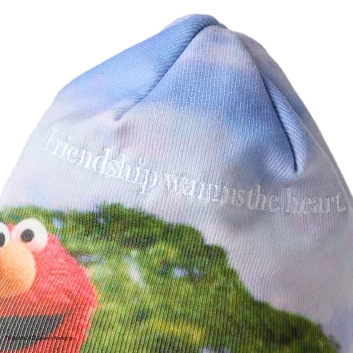 NEW ERA SESAME STREET - BASIC BEANIE SESAME PRINT 【14682559】