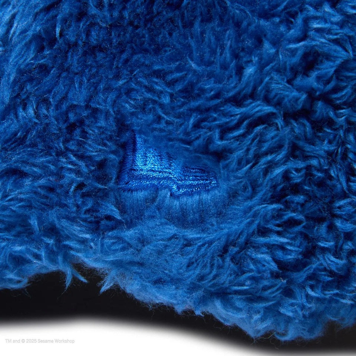 NEW ERA SESAME STREET - Cookie Monster Youth 9TWENTY FACE COOKIE BLUE 【14682469】