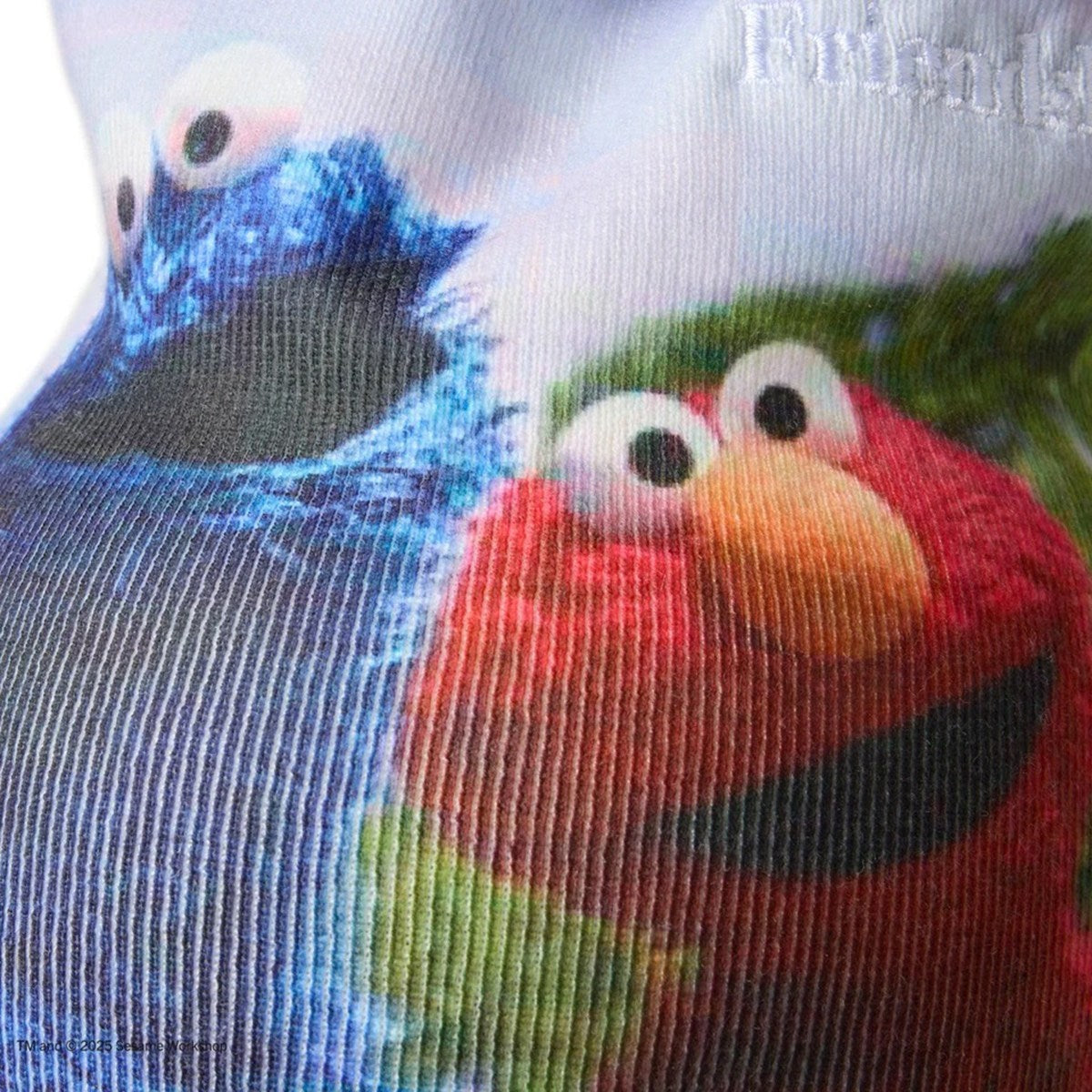 NEW ERA SESAME STREET - BASIC BEANIE SESAME PRINT 【14682559】