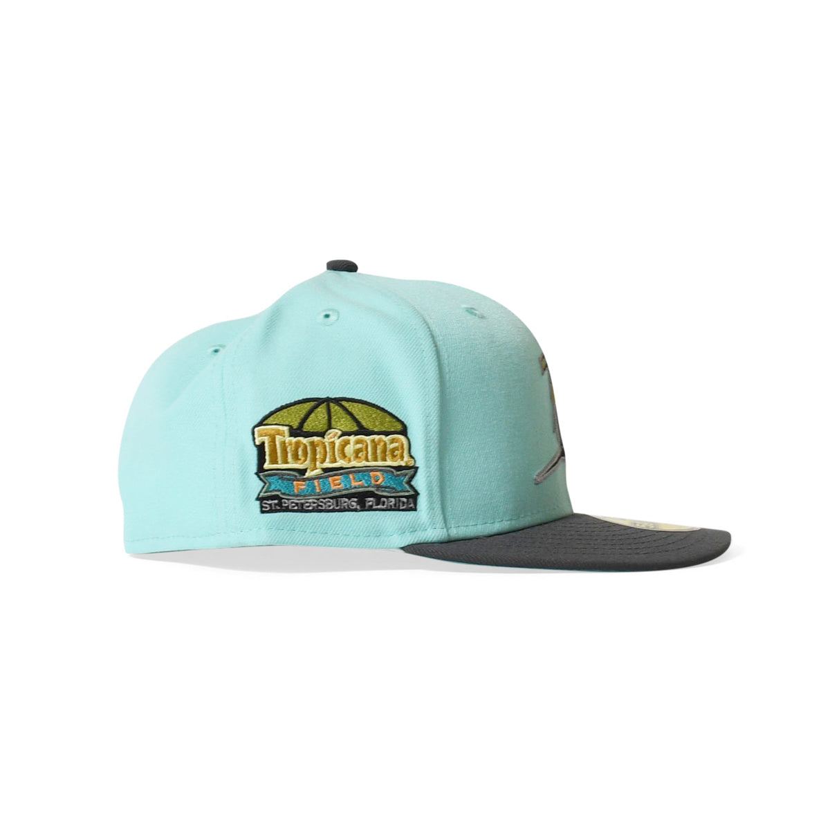 新時代坦帕灣魔鬼魚熱帶球場 59FIFTY