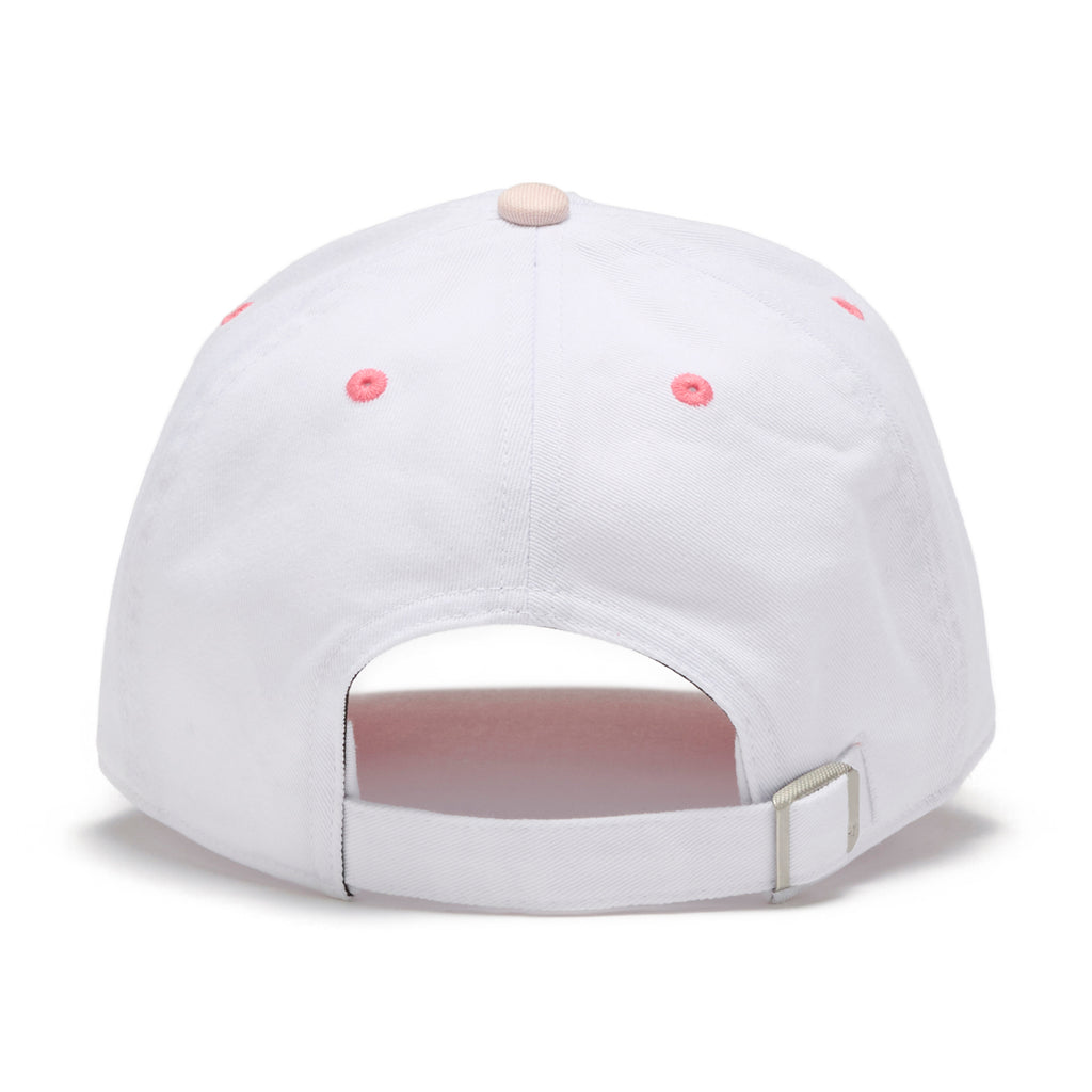 ’47 - BASKIN ROBBINS LOVE POTION 31 CLEAN UP  COCONUT 【15173482】