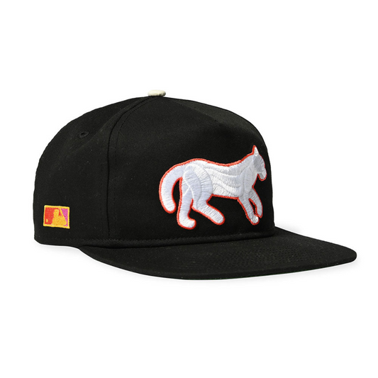 NEW ERA - DETROIT TIGERS CO TIGER 19TWENTY BLACK【15162394】
