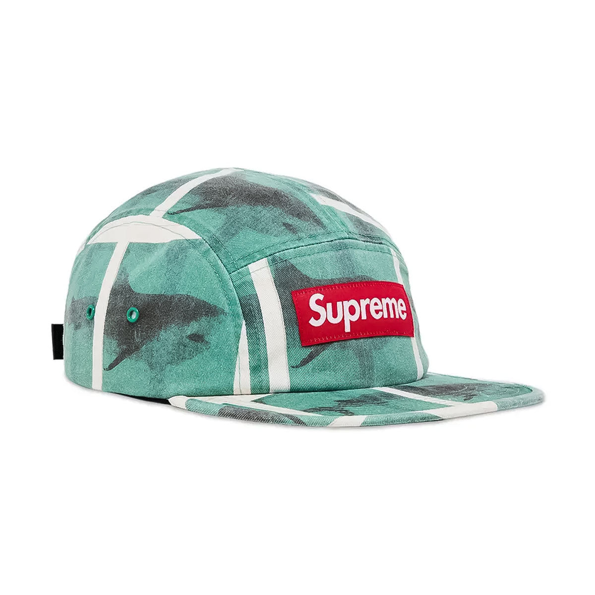 Supreme × Damien - Hirst Camp Cap SHARK