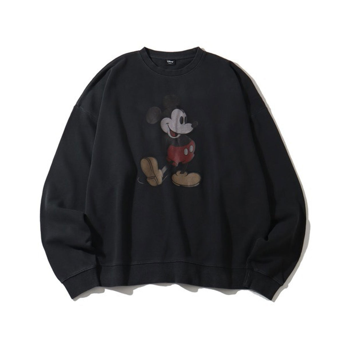 PIGMENT CREWSWEAT 【DMK-MTR22】