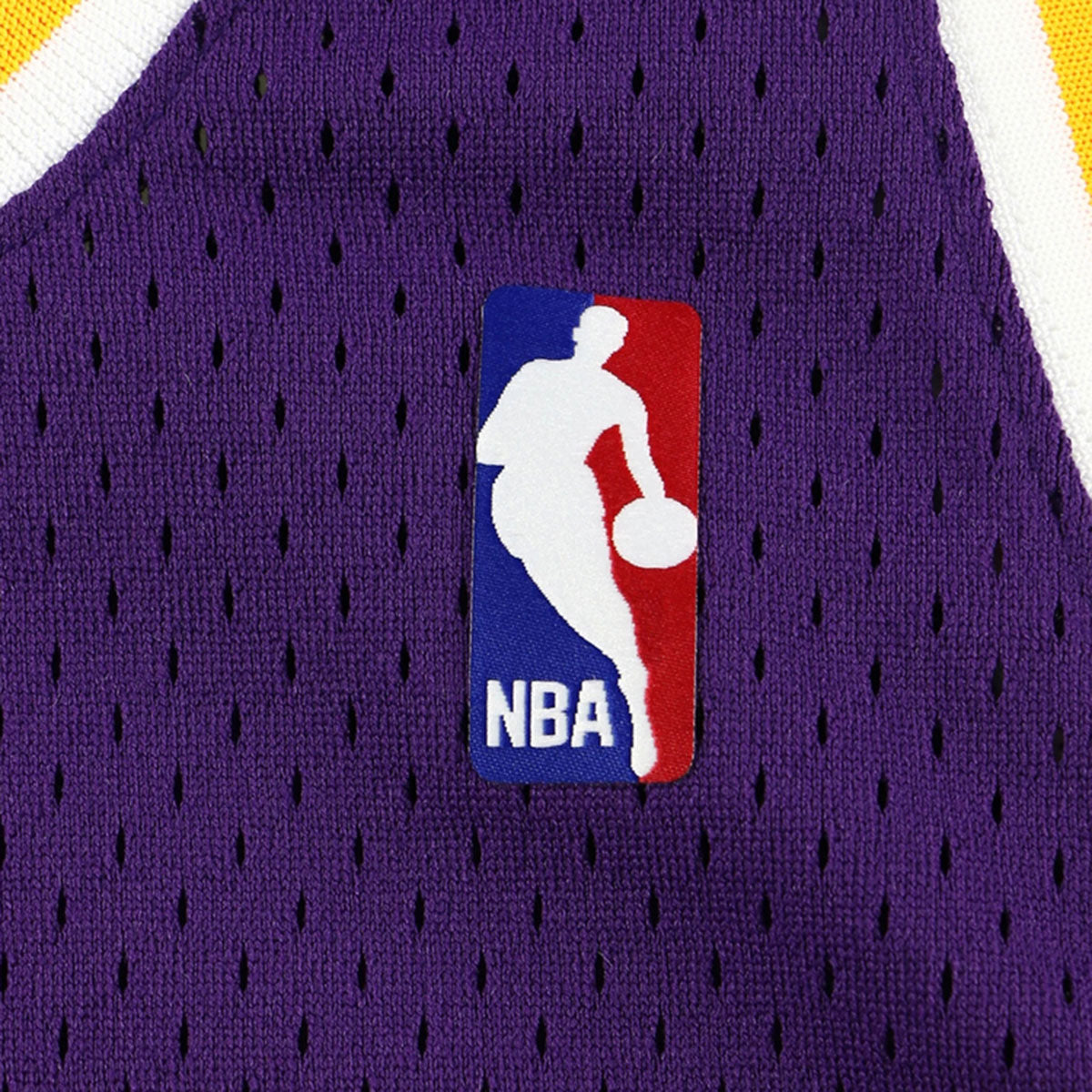 Mitchell &amp; Ness Los Angeles Lakers - SW-Jersey-LAL #73 Dennis Rodman 98-99 PURPLE [SMJY4036]