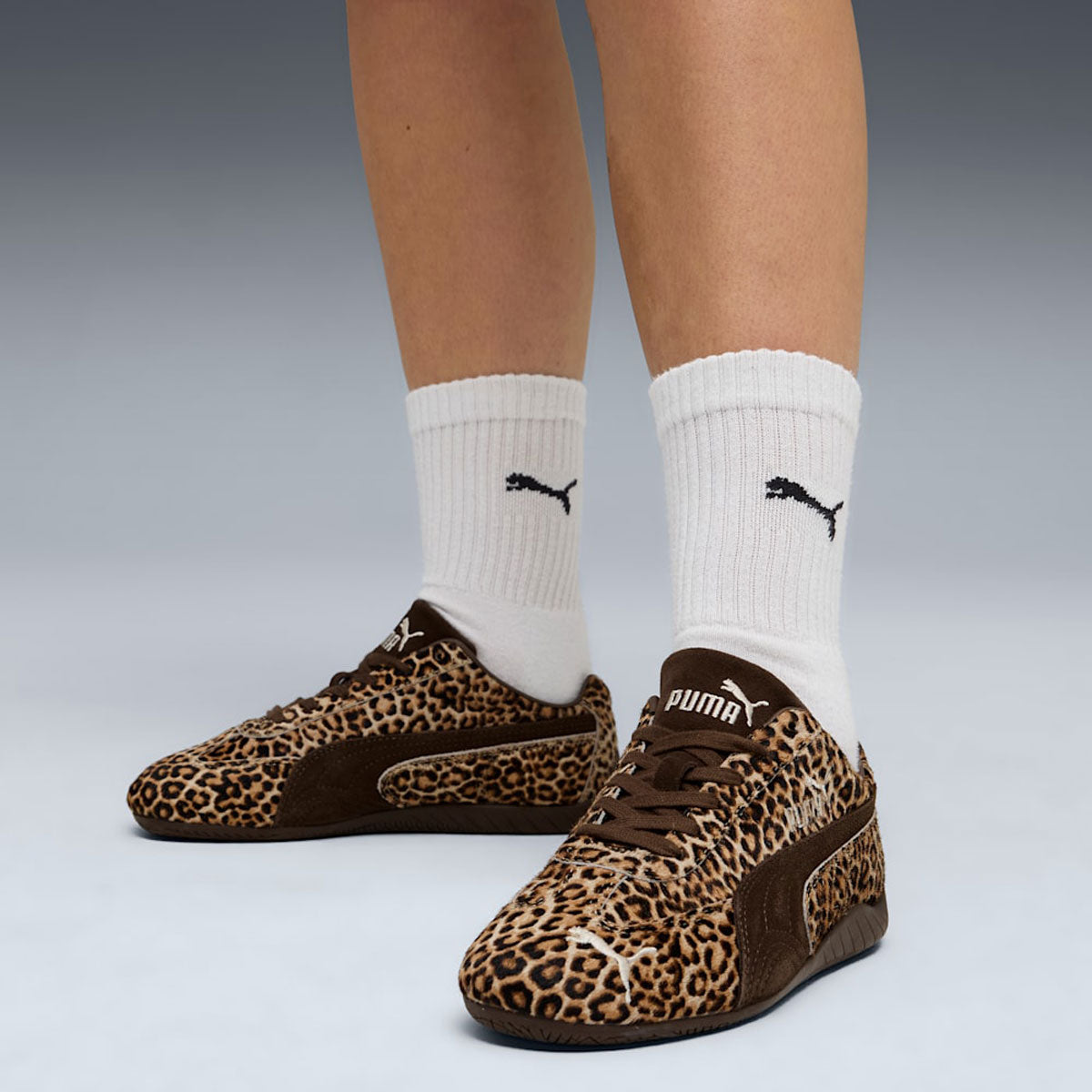 PUMA - SPEEDCAT WILD WNS CHOCOLATE/WARM WHITE 【406690-01】