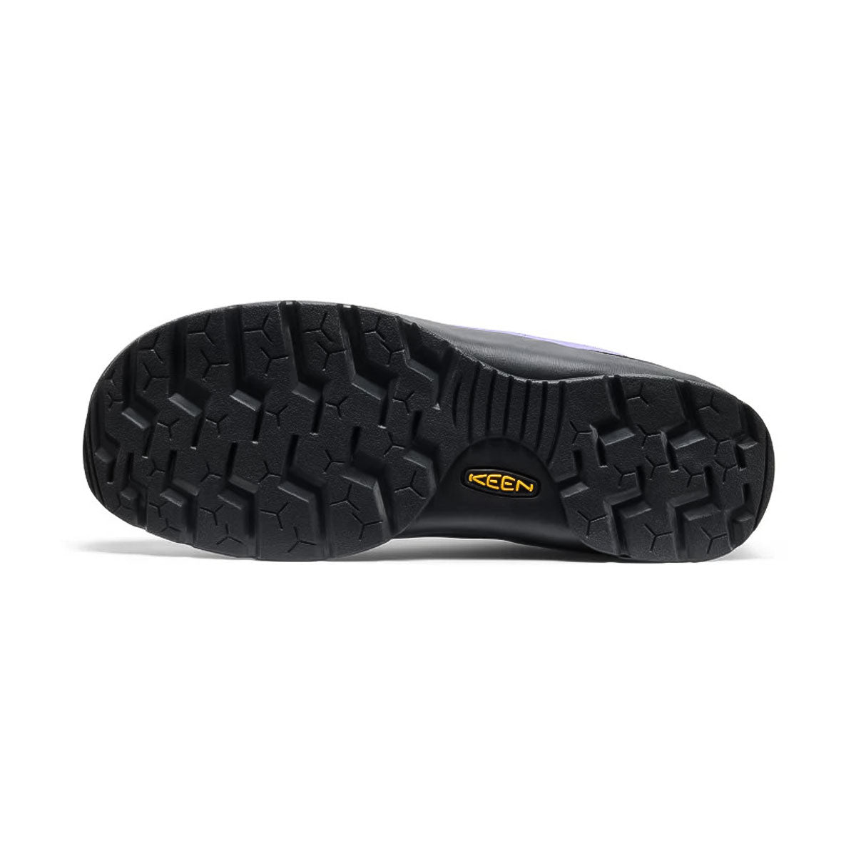 KEEN  - MENS JASPER PURPLE Purple Opulence/Lemon Curry 【1031019】