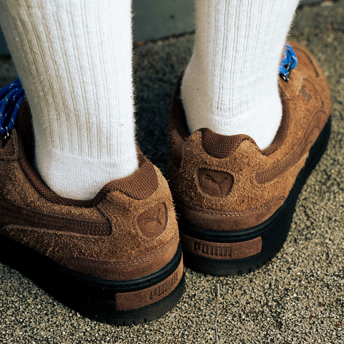 PUMA - PALERMO ALPINO FUZZY CHESTNUT BROWN/MOUNTAIN BLUE 【403699-02】-