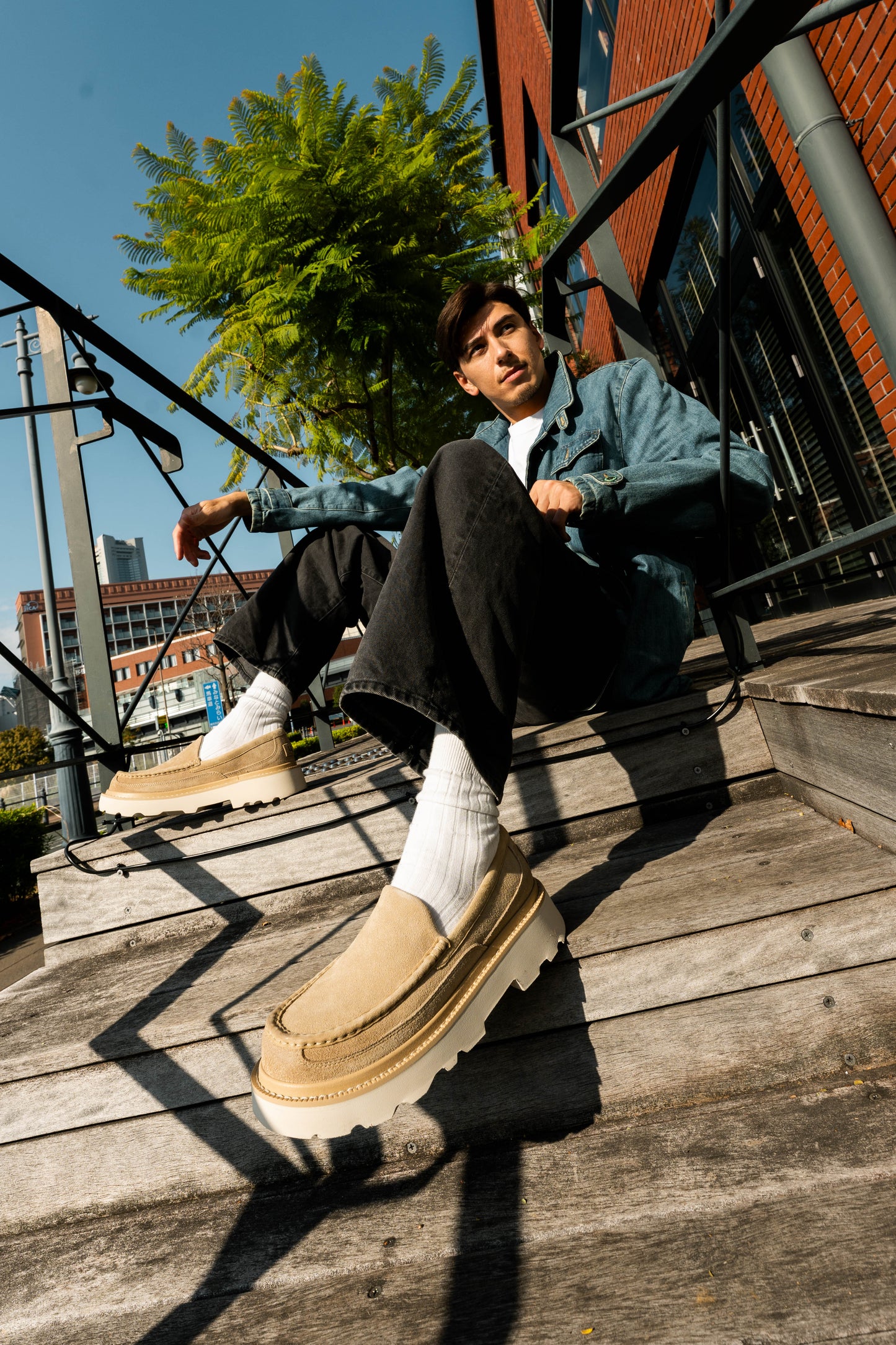 UGG - MENS ASCOT LUG Mustard Seed【1172691-MDSD】