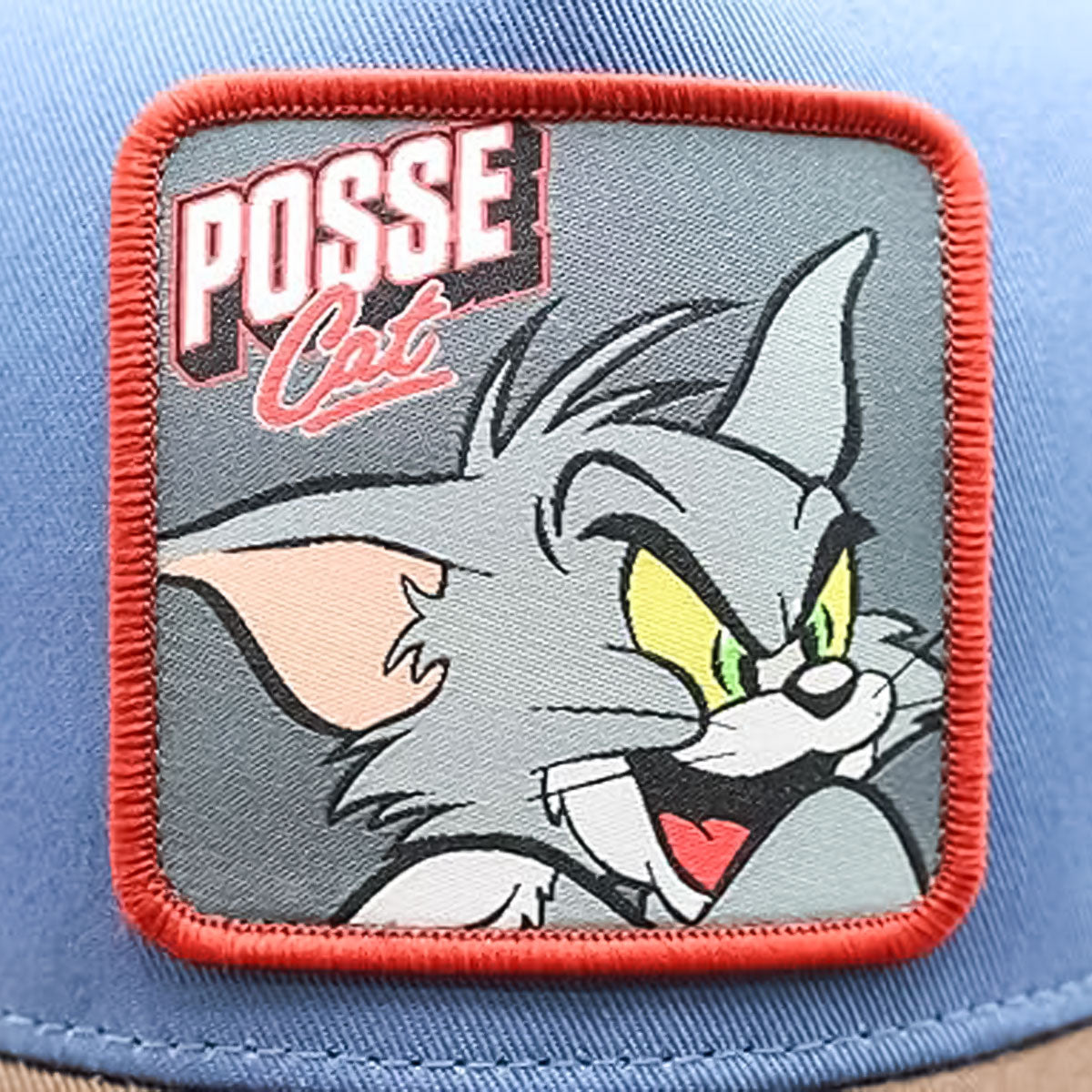 TOM and JERRY POSSE CAT TRUCKER CAP NV/BROWN 【WNTJ-MCP01】