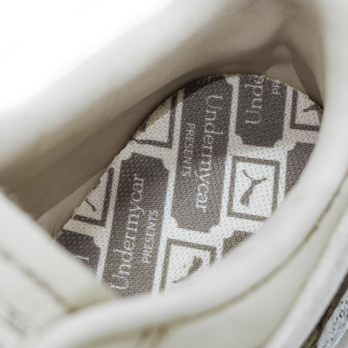 PUMA X UNDERMYCAR -0 PALERMO ALPINE SNOW-FLAT BRONZE 【404039-01】