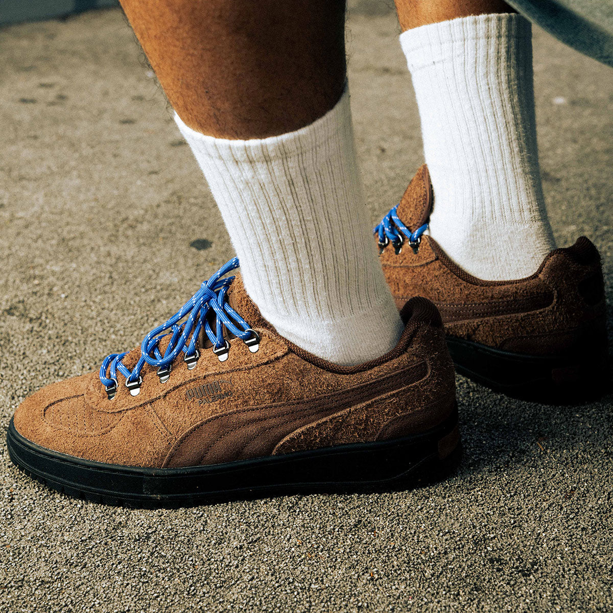 PUMA - PALERMO ALPINO FUZZY CHESTNUT BROWN/MOUNTAIN BLUE 【403699-02】-