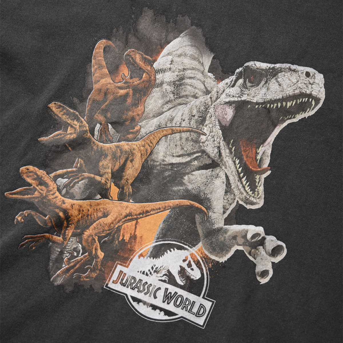 JURASSIC WORLD - VINTAGE TEE SUMI BLACK 【UJP-ST12】