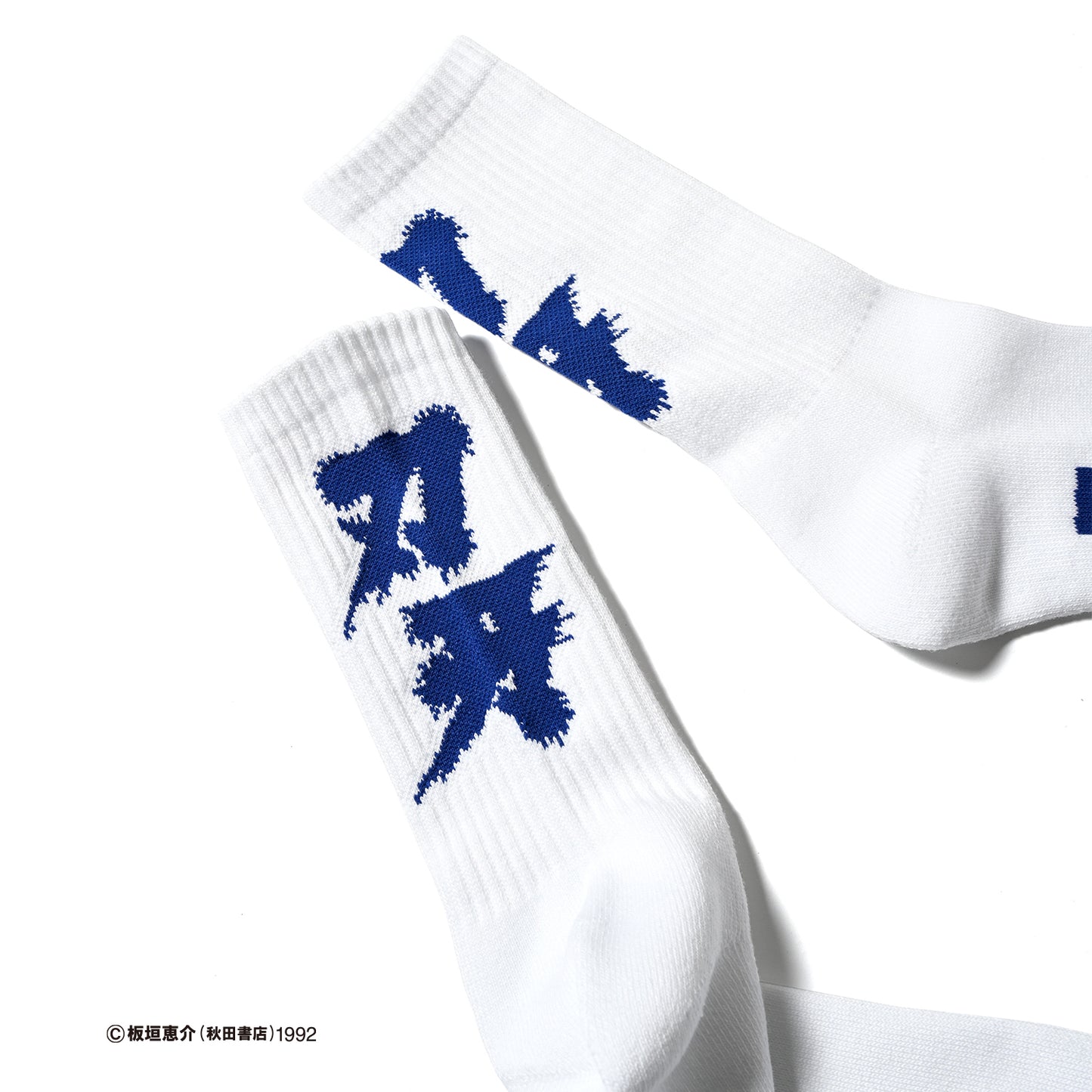 LFYT × GRAPPLER BAKI  SOCKS 【LE232101】