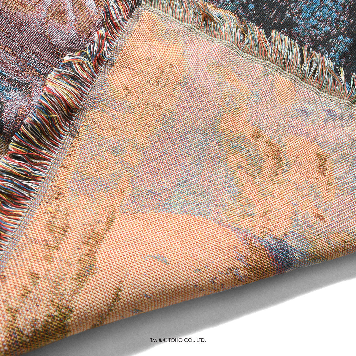 【受注予約：1月下旬頃より順次発送】ゴジラ |  HOMEGAME　ブランケット　ゴジラVSモスラ 【HG252304】