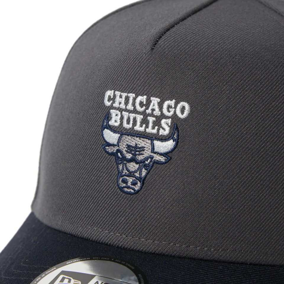 NEW ERA - Chicago Bulls 9FORTY GRAY / NAVY【15137153】