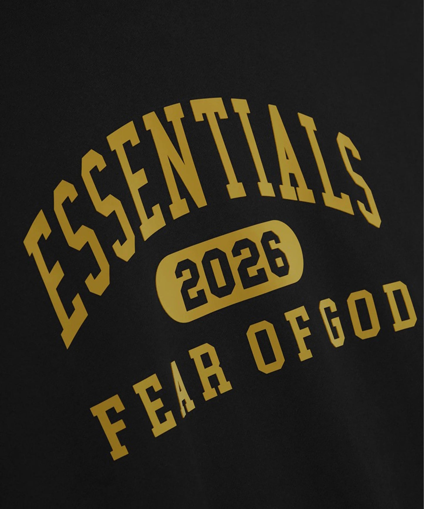 Fear of God ESSENTIALS - Classic Hoodie【192HO256861F】