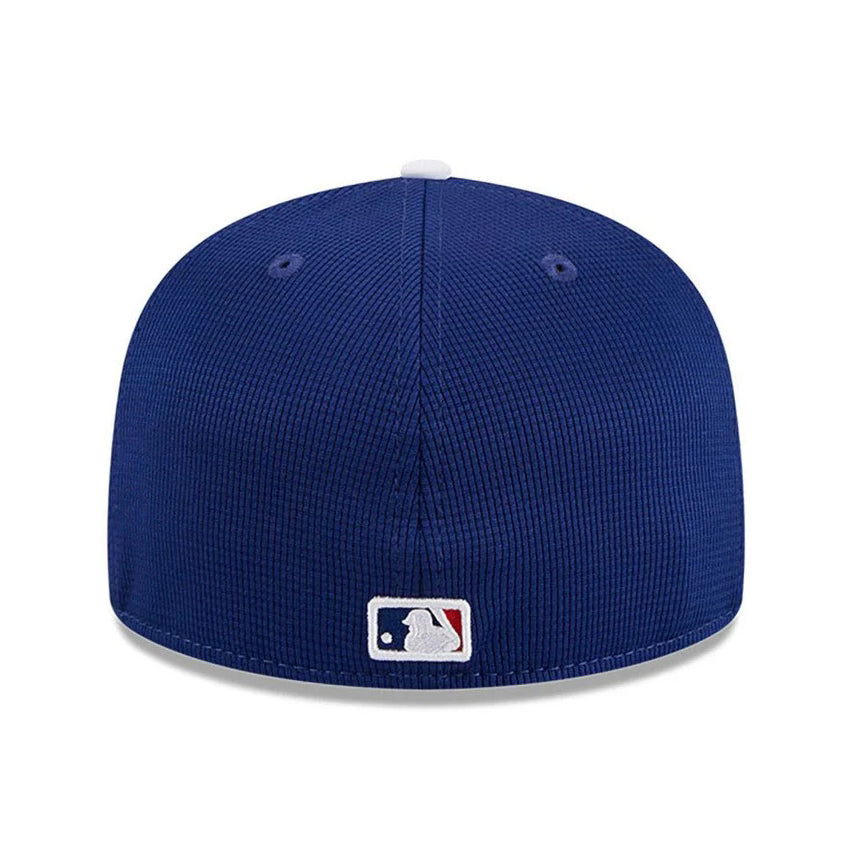 NEW ERA Los Angeles Dodgers - 59FIFTY 2025 MLB Batting Practice【14459838】