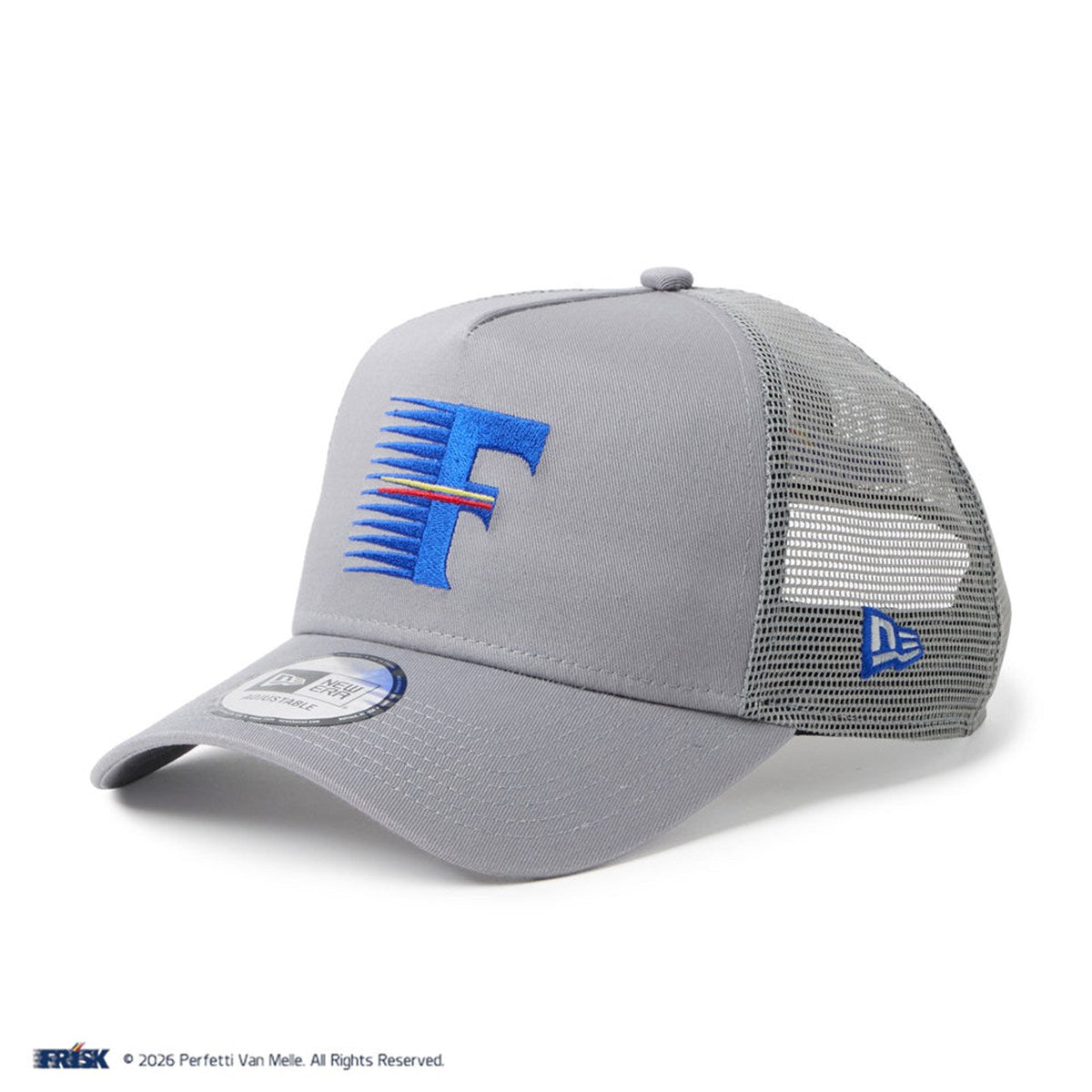 NEW ERA - 9FORTY A-Frame FRISK GRAY 【14863790】