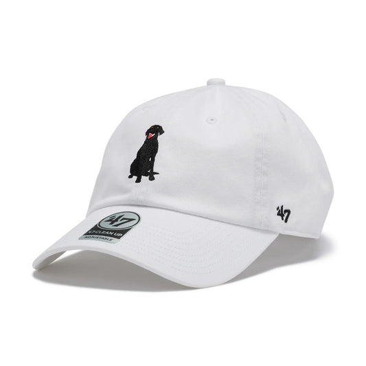 ’47 BRAND - CLEAN UP DOG Labrador Retriever COCONUT【14920363 47A-CLPNLDOGLABRA-CTGW-COC】