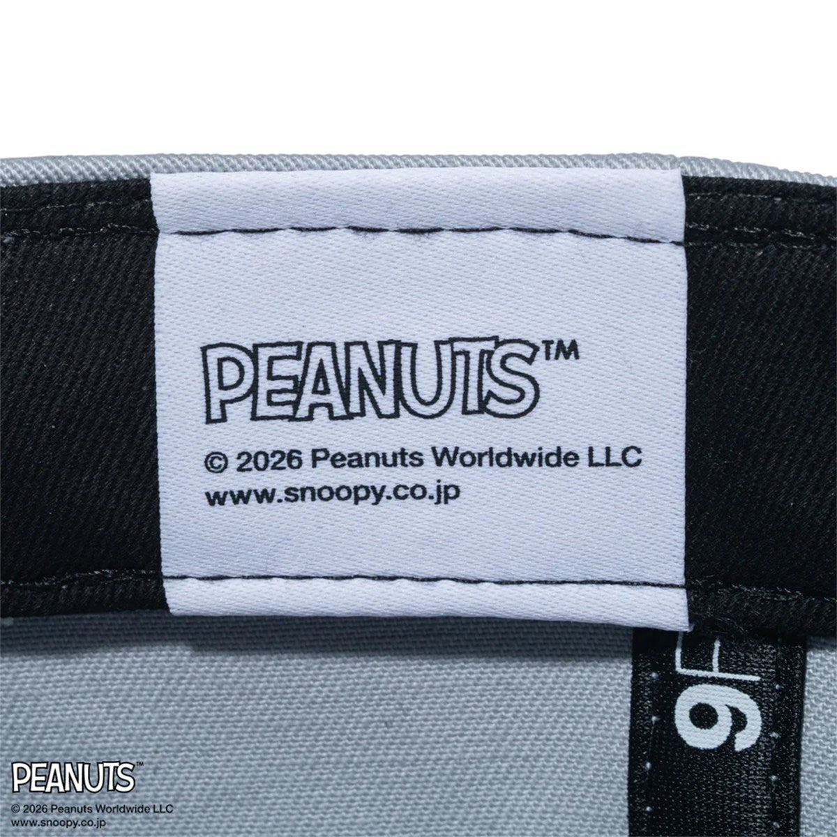 NEW ERA PEANUTS - 9FORTY EASTER SNOOPY WOOD STOCK DOLPHIN GRAY 【15087729】