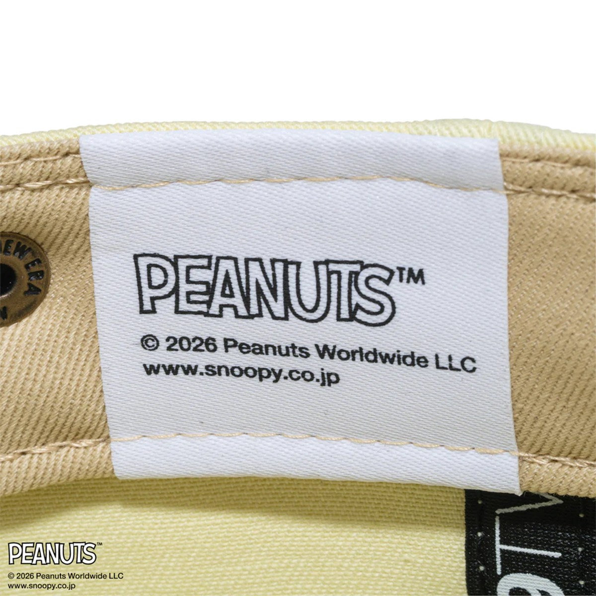 NEW ERA PEANUTS - 9TWENTY EASTER Charlie Brown POWDER YELLOW 【15087736】