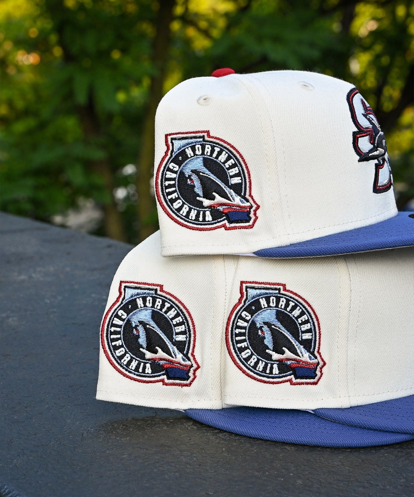 NEW ERA - San Jose Sharks Northern California Chrome White/Indigo