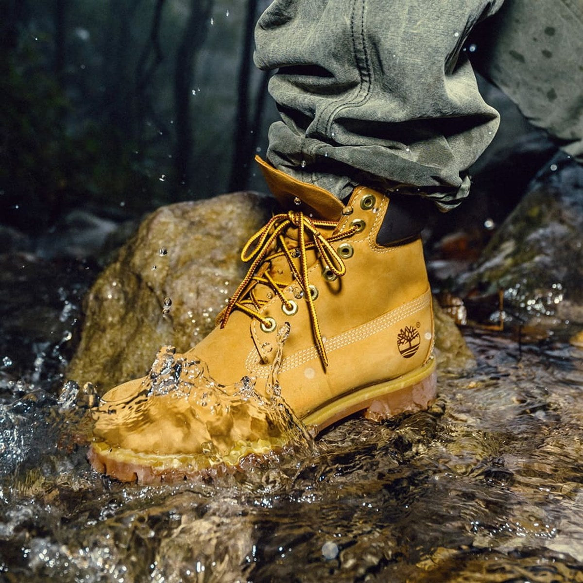 TIMBERLAND - MENS 6 Premium Boot Wheat Nubuck 【TL10061713