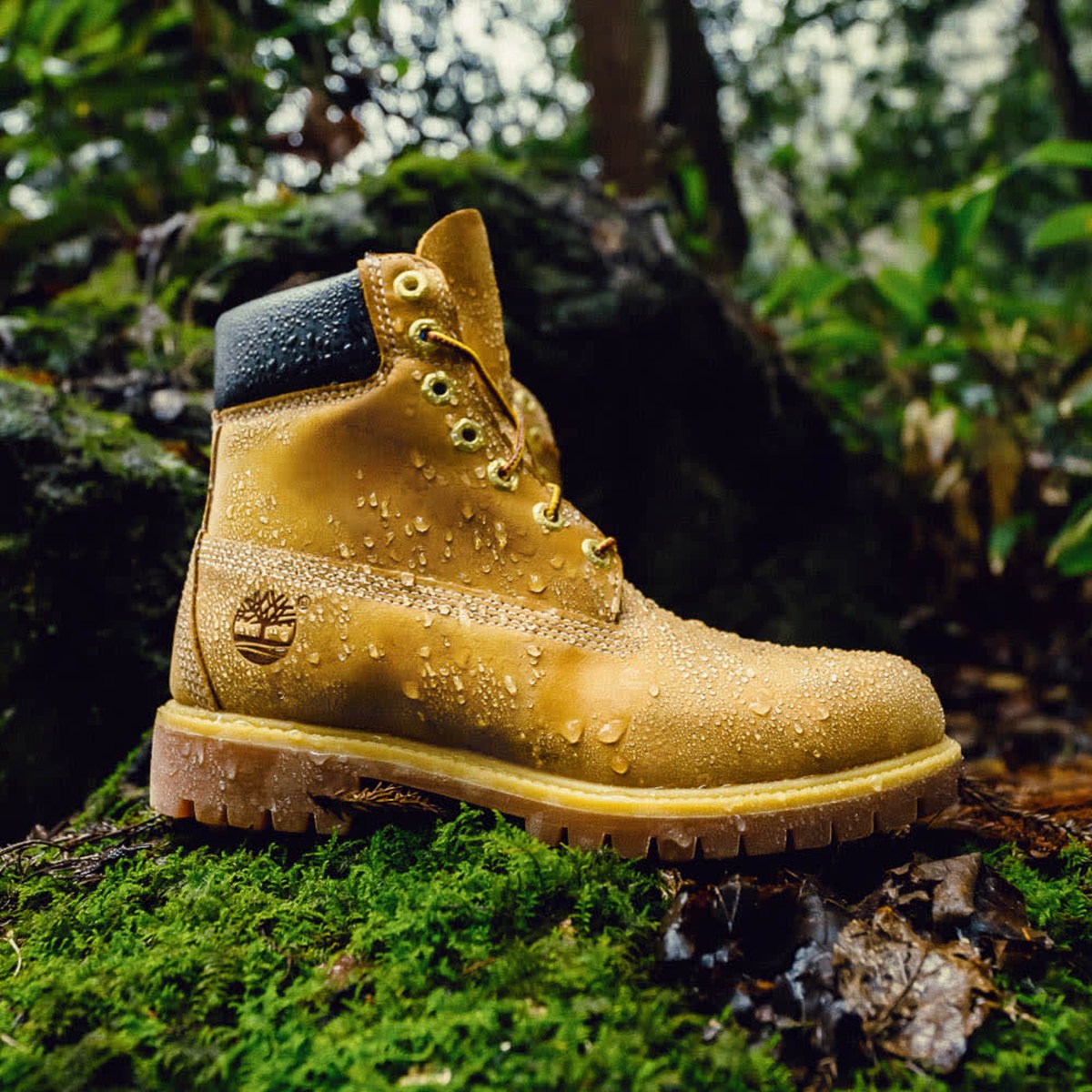 TIMBERLAND - MENS 6 Premium Boot Wheat Nubuck 【TL10061713