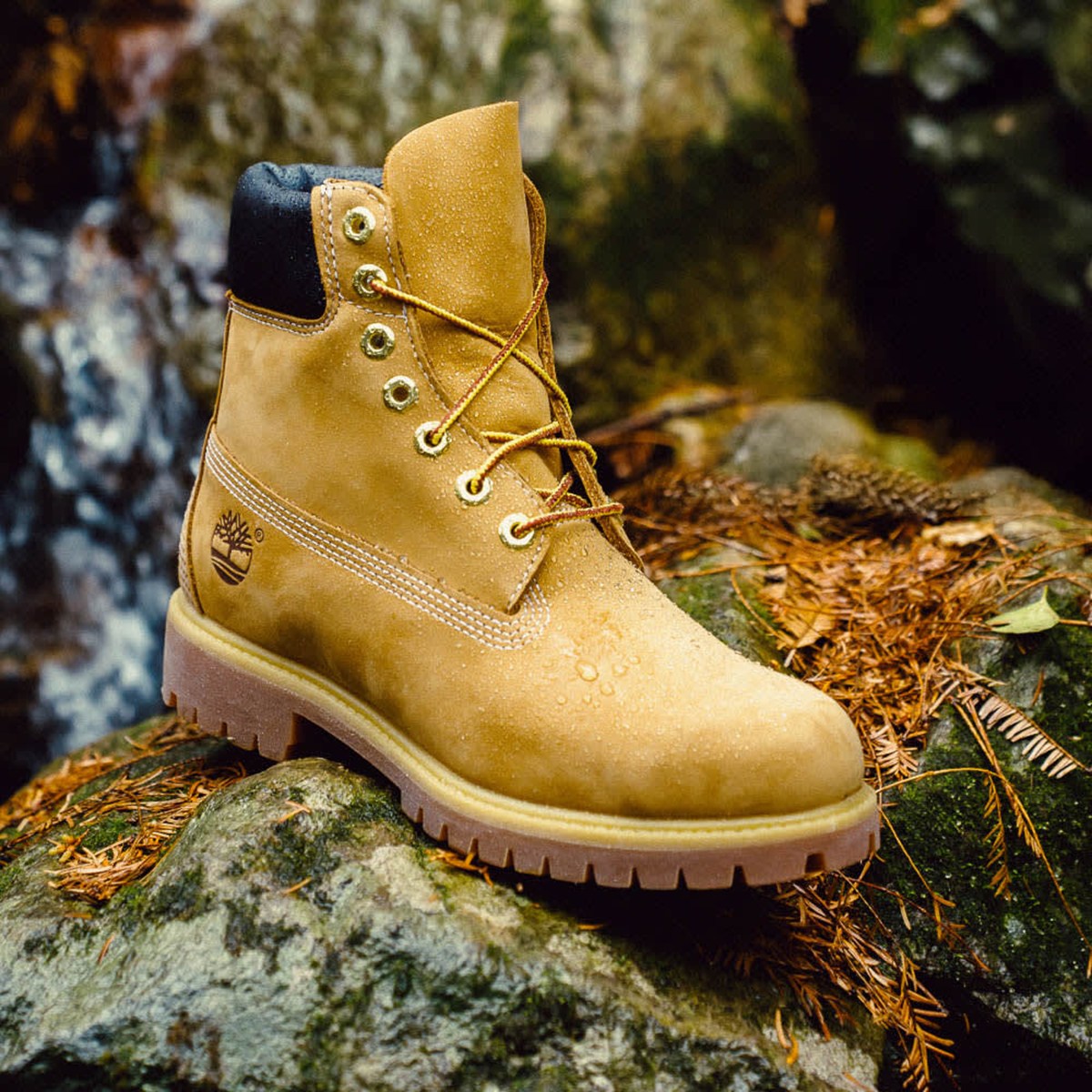 TIMBERLAND - MENS 6 Premium Boot Wheat Nubuck 【TL10061713