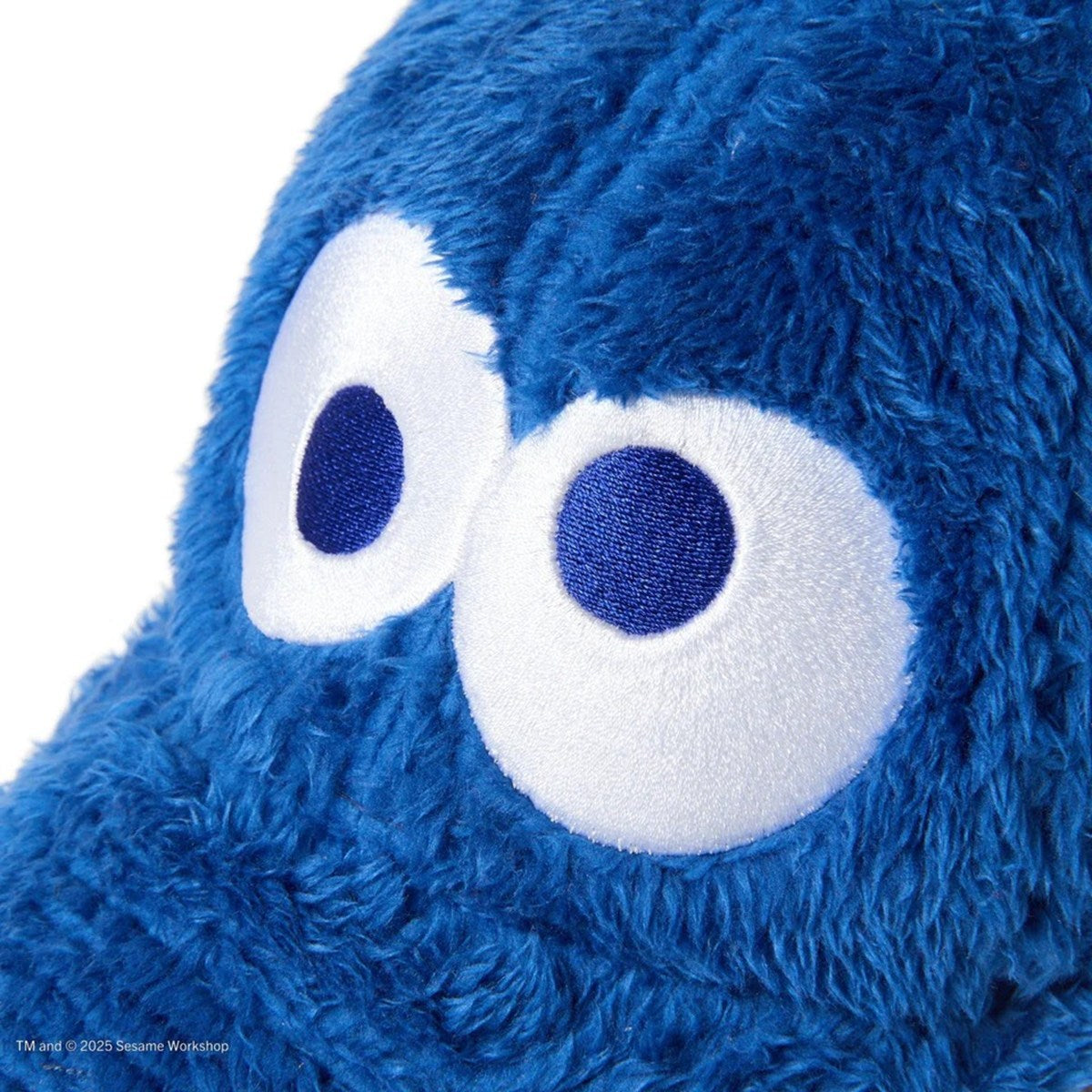 NEW ERA SESAME STREET - Cookie Monster Youth 9TWENTY FACE COOKIE BLUE 【14682469】
